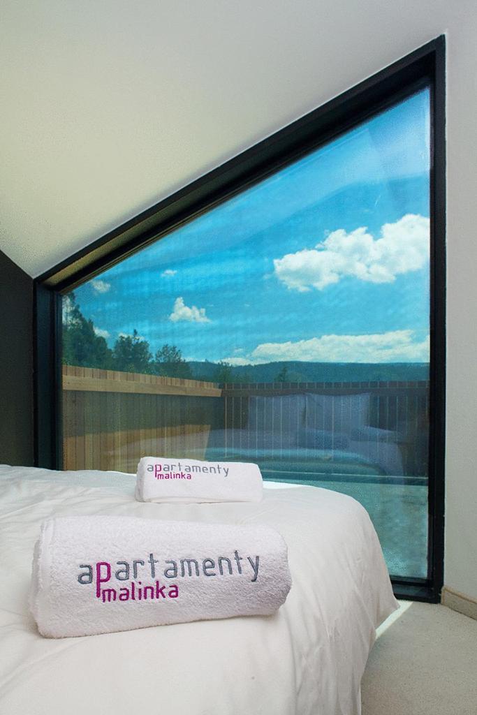 Apartamenty Malinka ヴィスワ エクステリア 写真